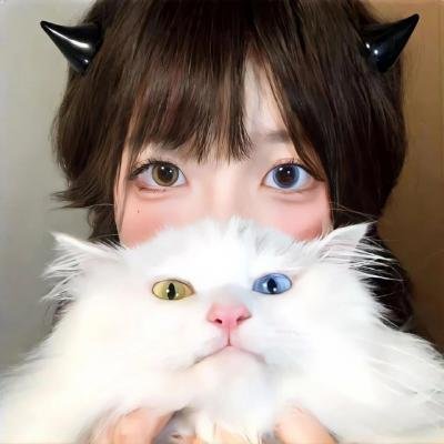 超级索尼克第二季